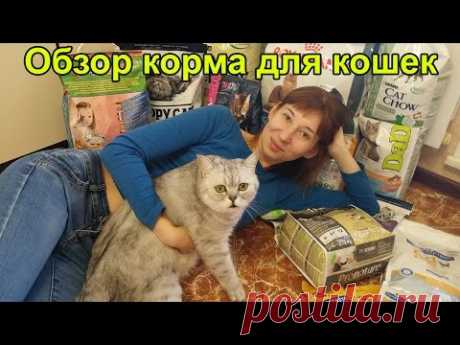 Обзор на кошачий корм, большой заказ кормов для кошек