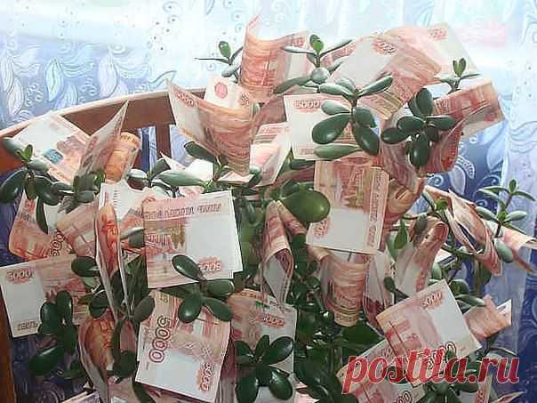 Айгуль Жумабаева | ВКонтакте