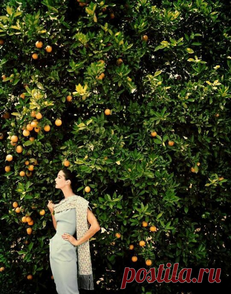 Красивые, женственные, обворожительные женщины Tom Palumbo.