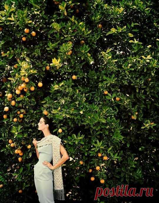 Красивые, женственные, обворожительные женщины Tom Palumbo.