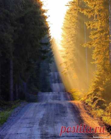 16 ВАЖНЫХ ВЕЩЕЙ, КОТОРЫМ УЧИТ ДЕПРЕССИЯ Уже пять лет я живу с тем, что в народе зовут ״депрессией״. И за это время в моей жизни появилось много разных новых аспектов, но, оглядываясь назад, я понимаю, что именно депрессия сделала меня счастливее, чем я была пять лет назад. Да, разумеется, у меня бывают кризисы, и до сих пор...