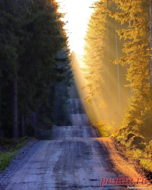 16 ВАЖНЫХ ВЕЩЕЙ, КОТОРЫМ УЧИТ ДЕПРЕССИЯ Уже пять лет я живу с тем, что в народе зовут ״депрессией״. И за это время в моей жизни появилось много разных новых аспектов, но, оглядываясь назад, я понимаю, что именно депрессия сделала меня счастливее, чем я была пять лет назад. Да, разумеется, у меня бывают кризисы, и до сих пор...