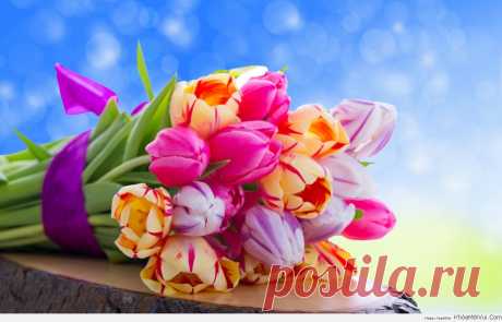 Мой Мир@Mail.Ru