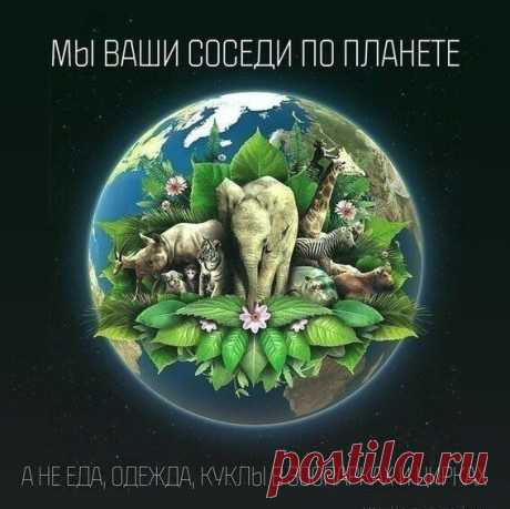 Лайфхак