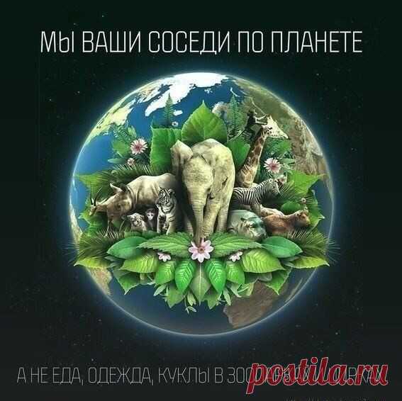 Лайфхак