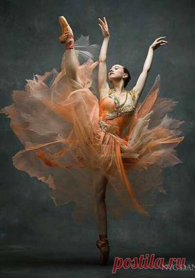Beautiful photos, art.