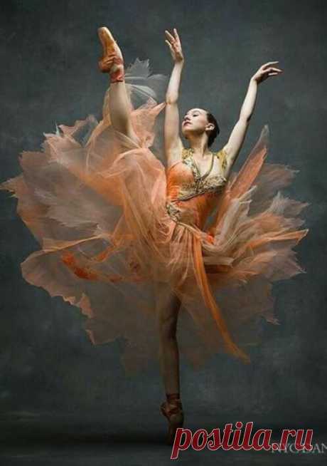 Beautiful photos, art.