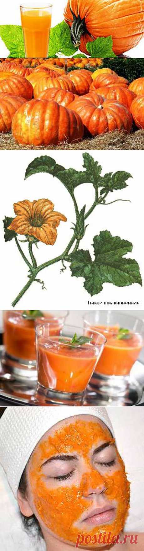 Такое лекарство нам и не снилось! Тыква лечит...Состав тыквенного сока
Тыкву относят к овощам, и в ней действительно не так много сахаров, как во фруктах, хотя многие сорта тыквы довольно сладкие.Тыквенный сок богат минералами: это калий – его очень много, кальций, фосфор, хлор, магний, натрий, сера, железо, цинк, йод, медь, марганец, фтор, кобальт. Белка, жира, углеводов и органических кислот в тыквенном соке не очень много; есть некоторое количество пищевых волокон и довольно богатый набор ви