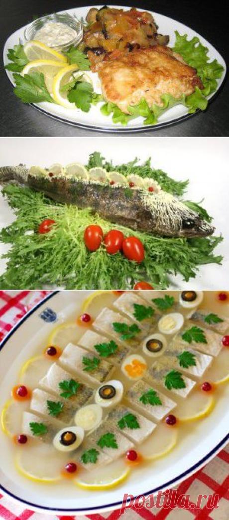 Как приготовить запеченного судака в духовке и другие вкусные рецепты.