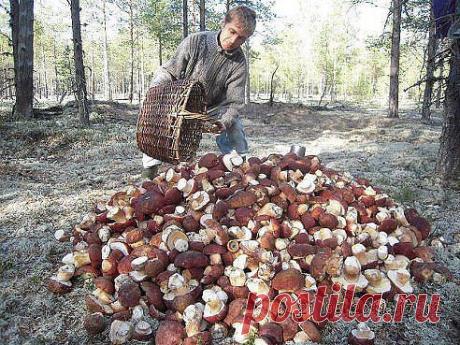 МОРЕ ПОЗИТИВА!!!. Добавлена фотография в альбом Про Bсe