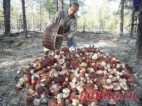 МОРЕ ПОЗИТИВА!!!. Добавлена фотография в альбом Про Bсe