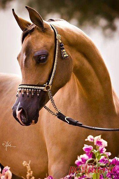 Интересные новости