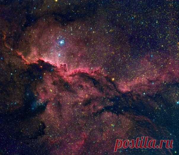 Эмиссионная и отражающая туманность NGC 6188 находится на краю большого молекулярного облака, невидимого в оптическом диапазоне, на расстоянии около 4 тысяч световых лет от нас в южном созвездии Жертвенника. Туманность окружает молодые массивные звезды ассоциации Жертвенник ОВ1. / Astro Analytics