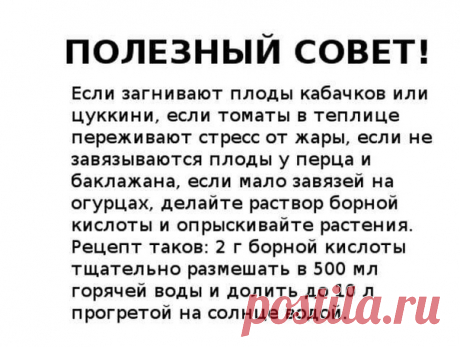 --------
Подпишитесь на Дачные идеи