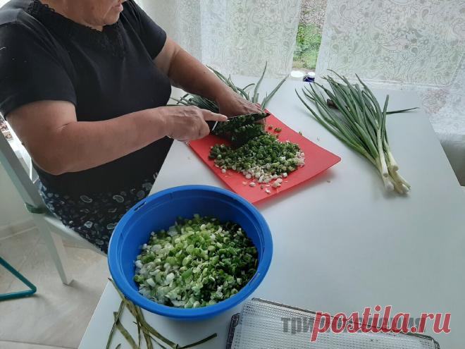 Всегда заготавливала зеленый лук тремя способами, сегодня освоила новый - четвёртый. Показываю все | ТРИ ПОКОЛЕНИЯ | Яндекс Дзен