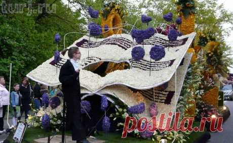 Нидерланды, Аалсмеер: парад цветов в королевстве тюльпанов.