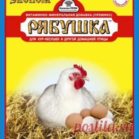 Ветеринарные препараты для кур: советы, отзывы