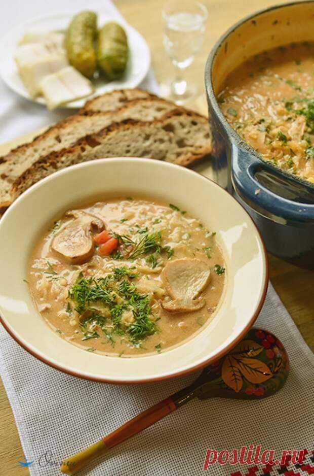 Украинская кухня. Суп грибной по-гуцульски - БУДЕТ ВКУСНО! - медиаплатформа МирТесен Состав: сушенные белые грибы, можно и свежих добавить, кто как любит грамм 50, квашенная капуста около 400 граммов, три средние луковицы, пару ст.ложек томатного пюре, копчёная колбаса грамм 200, 150 грамм перловки,сметана, ст.ложка муки, зелень, лавровый лист, соль, перец. Промываем сушенные