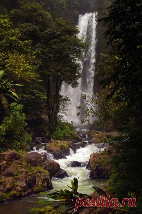 Another world and universe citizen... — Git Git waterfal | Reinhard Latzke