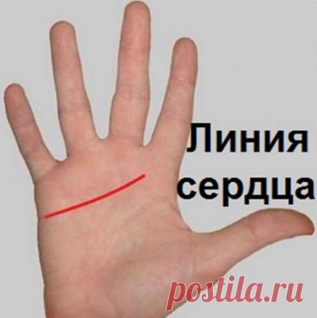 Этот пост позволит вам погадать по руке самостоятельно!