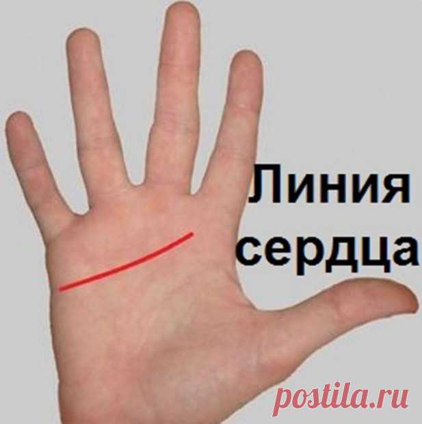 Этот пост позволит вам погадать по руке самостоятельно!