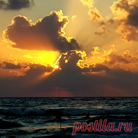 Сегодня вечером.