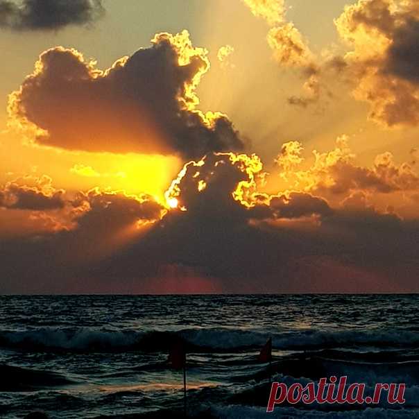 Сегодня вечером.