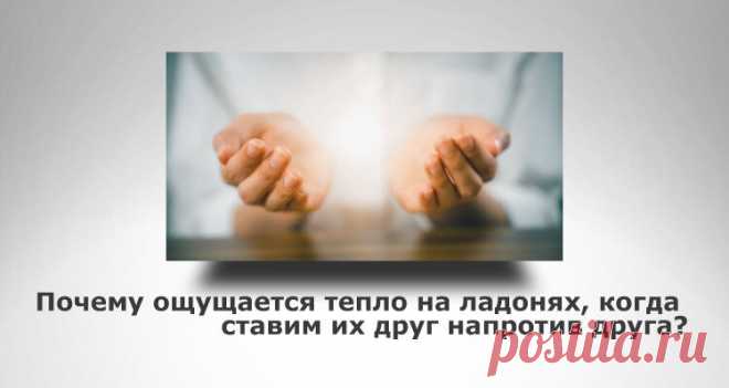 Разбираем тему: Почему ощущается тепло на ладонях, когда ставим их друг напротив друга? Статья автора «Калейдоскоп новостей» в Дзене ✍: Когда ладони встречаются