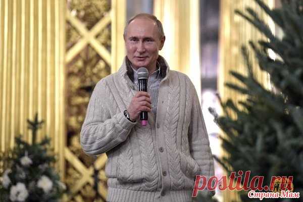 Рождественский кардиган Путина - Вязание - Страна Мам