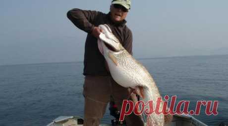 На спиннинг, без крючка