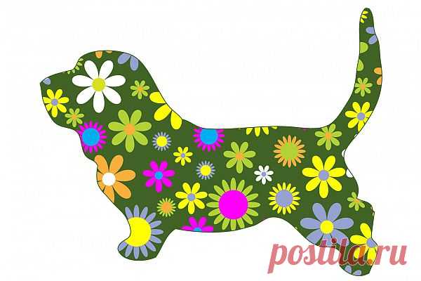 Funky Floral Retro Dog  Free Stock Photo HD - Public Domain Pictures