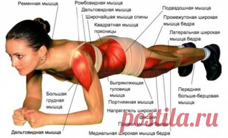 Планка — одно из самых популярных и эффективных упражнений для пресса по всему миру.