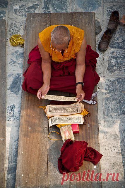 Все вредное выведет рис . Секрет тибетских лам | Golbis