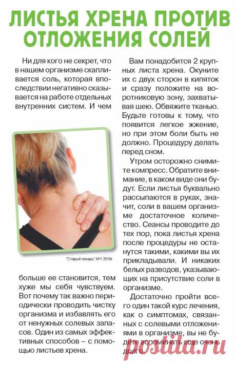 Листья хрена против отложения солей