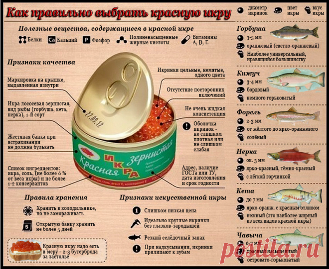 КАК ПРАВИЛЬНО ВЫБРАТЬ КРАСНУЮ ИКРУ?