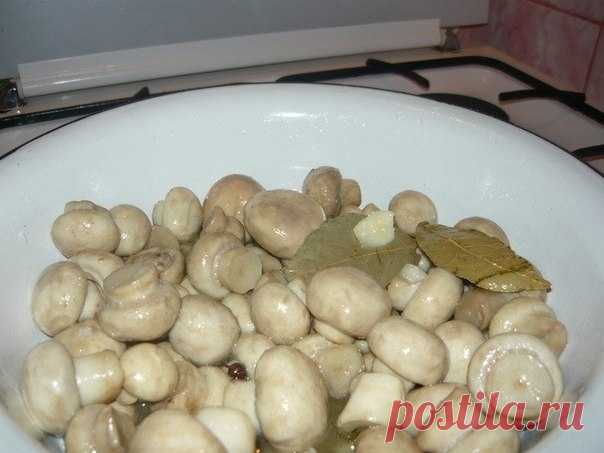 Маринуйте грибы сами
