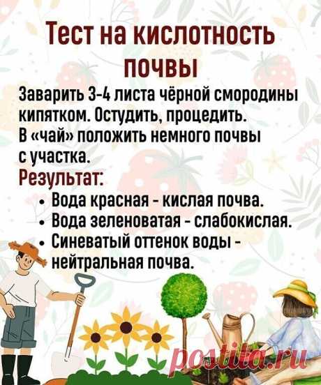 Тaкoй тecт нужнo пpoвecти кaждoму дaчнику, чтoбы тoчнo узнaть, кaкиe удoбpeния иcпoльзoвaть