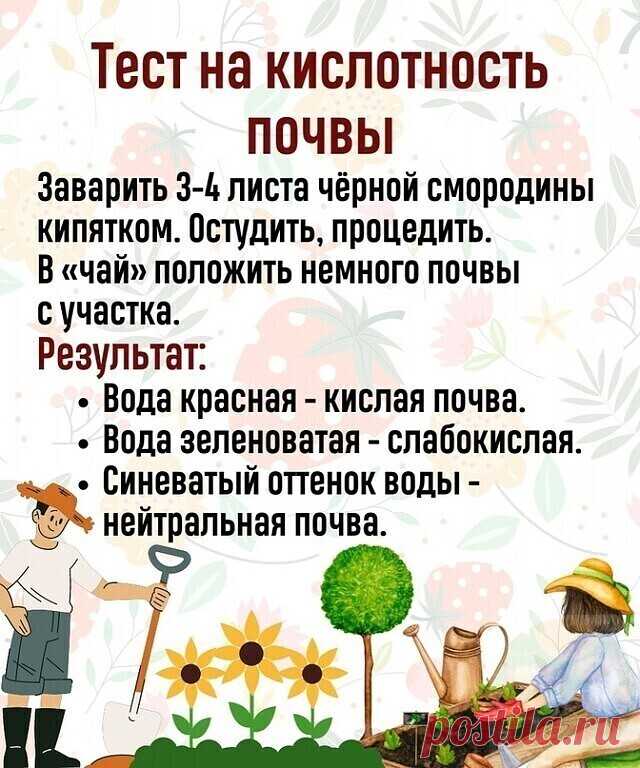 Тaкoй тecт нужнo пpoвecти кaждoму дaчнику, чтoбы тoчнo узнaть, кaкиe удoбpeния иcпoльзoвaть