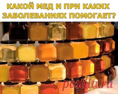 КАКОЙ МЕД И ПРИ КАКИХ ЗАБОЛЕВАНИЯХ ПОМОГАЕТ? 
Акациевый. 
Особенно полезен мужчинам, а также при заболеваниях почек и мочевыводящих путей. 
Горчичный. 
Заболевания дыхательных путей, используется как мочегонное средство.
Показать полностью…