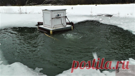 Для выживания рыбы включаю компрессор | Хозяйство Воронова | Яндекс Дзен