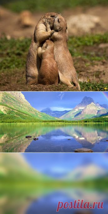 Путь к себе – О себе – Google+