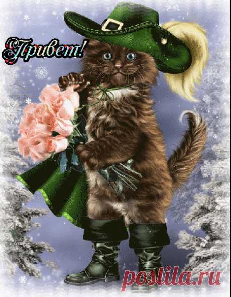 Новости