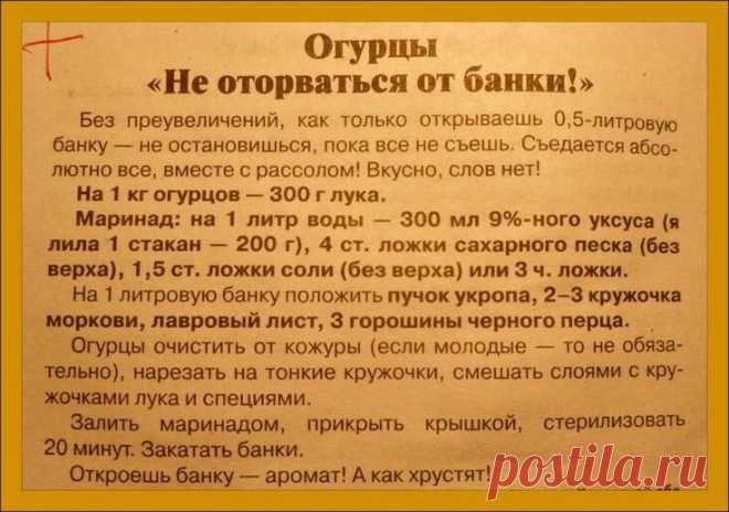 Огурцы не оторваться от Банки