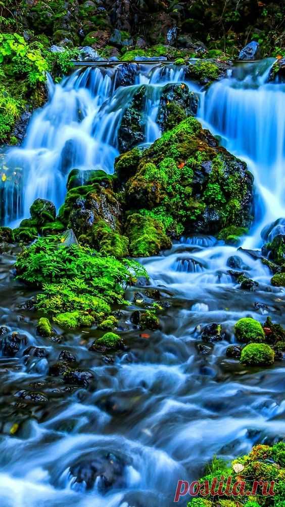 (2231) Pinterest