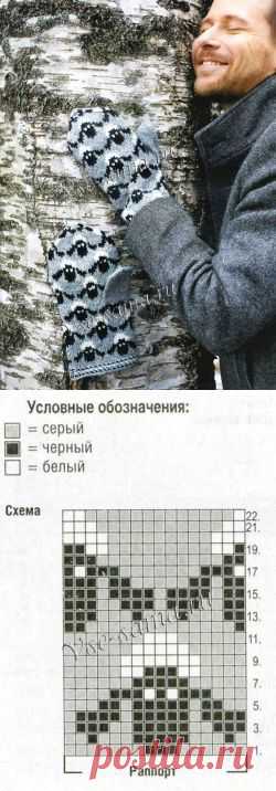 Варежки с овечками ))))