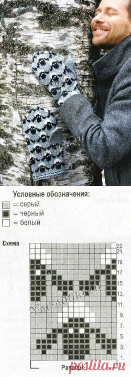 Варежки с овечками ))))