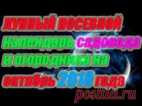 Лунный посевной календарь садовода и огородника на октябрь 2018 года