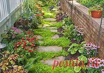 Красивые садовые дорожки среди цветов - Учимся Делать Все Сами