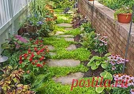 Красивые садовые дорожки среди цветов - Учимся Делать Все Сами