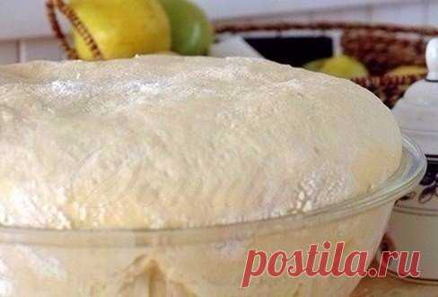 Кулинария: вкусные рецепты 🍰